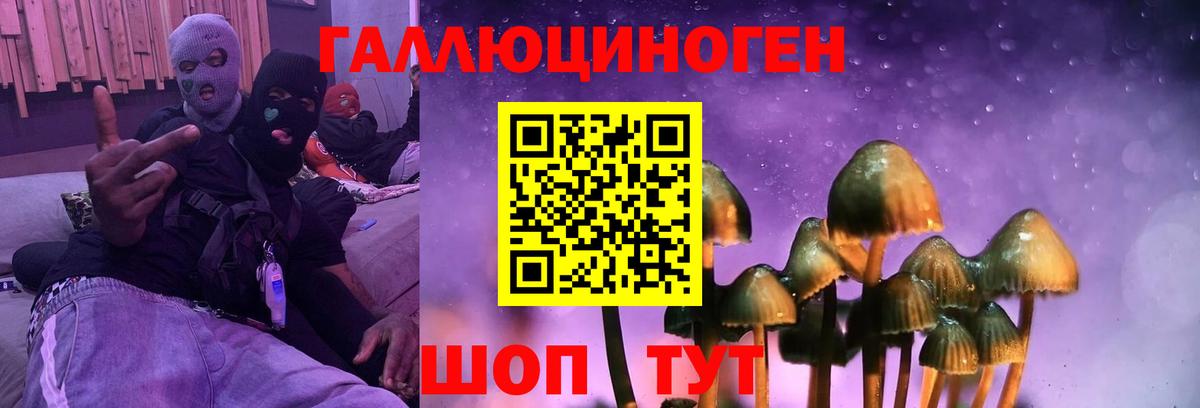 Вязьма  Псилоцибиновые грибы ЛСД  Вход с VPN 